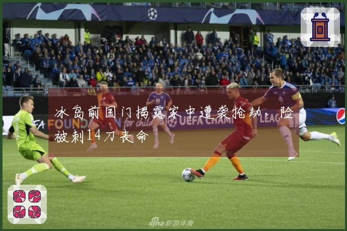 冰岛前国门揭露家中遭袭抢劫，险被刺14刀丧命