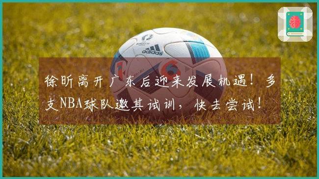 徐昕离开广东后迎来发展机遇！多支NBA球队邀其试训，快去尝试！