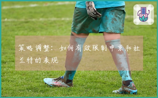 策略调整：如何有效限制申京和杜兰特的表现